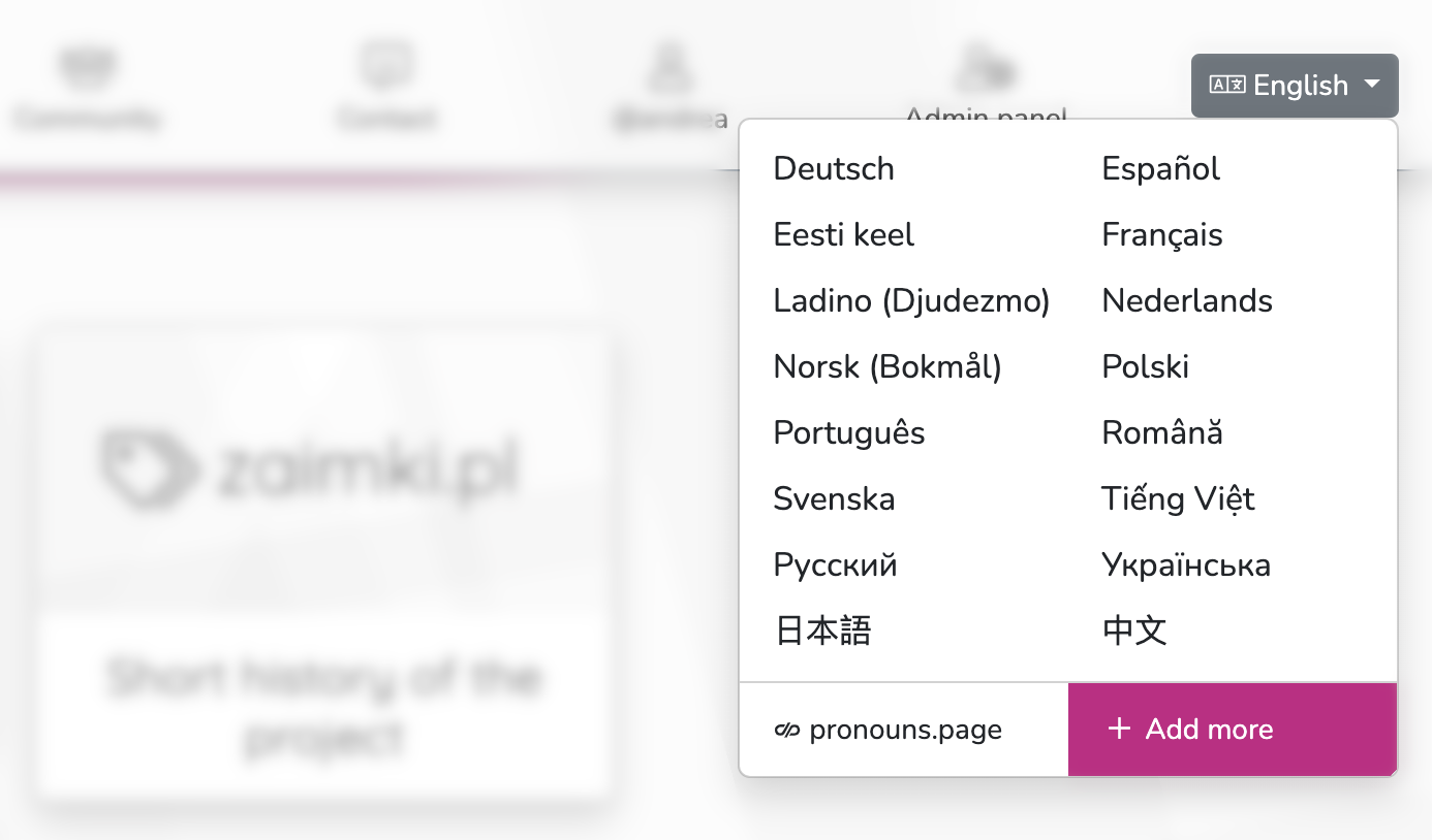 Screenshot of the language menu on the top of this page, with the "+ Add more" button selected
