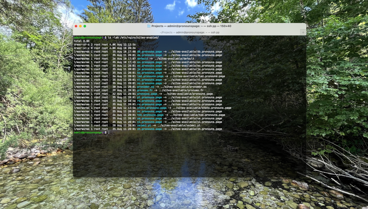 Terminal with `ls -lah /etc/nginx/sites-enabled/` executed on the new server